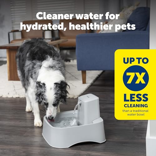 PetSafe Drinkwell Pet Fountain,Dog Water Bowl Dispenser for Cat and Dogs, Plastic, Adjustable Flow Control, Easy to Clean ...