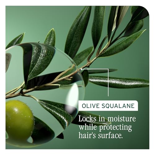 Biolage Strength Recovery Conditioner - Moisturizes & Strengthens Damaged Hair, Softness & Shine, Hydrates and Repairs Dam...