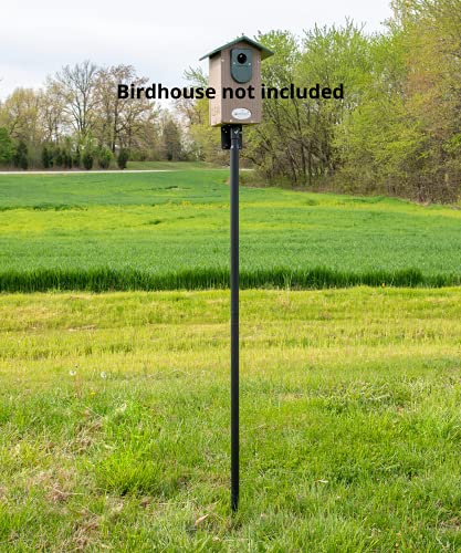 Universal Mounting Pole Kit – Heavy-Duty Rust-Resistant Bird House & Feeder Post with Versatile Mounting Flange, Threaded ...