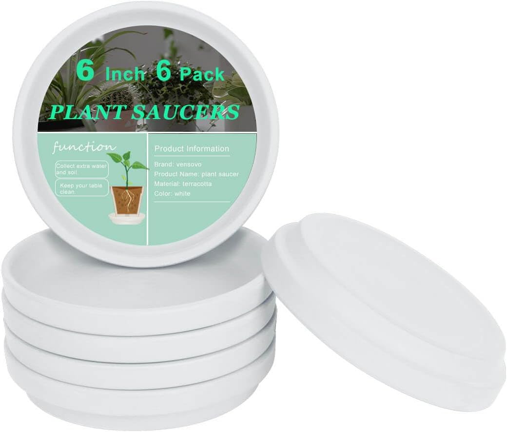 vensovo 6 Inch White Terracotta Plant Saucer Pots Tray - 6 Pcs Round Planter Saucers for Indoor & Outdoor Plants, Small Clay Trays Perfect for 5 Inch 5.5 Inch 6 Inch Flower Pot