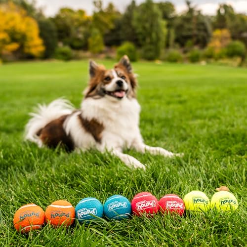 Outward Hound Squeaker Ballz – Squeaky Tennis Balls for Dogs Under 25 lbs, Interactive Dog Toy for Fetch & Training, Small...