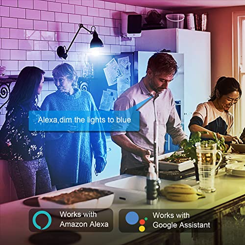 DAYBETTER Smart Light Bulbs, Alexa Light Bulb, WiFi Light Bulbs, RGBCW Color Changing Light Bulb A19 9W 800LM, Smart Bulbs...