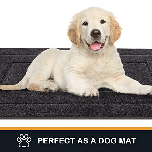 PURRUGS Dirt Trapping Door Mat 20" x 31.5", Non-Slip/Skid Machine Washable Entryway Rug, Dog Doormat, Super Absorbent Welc...