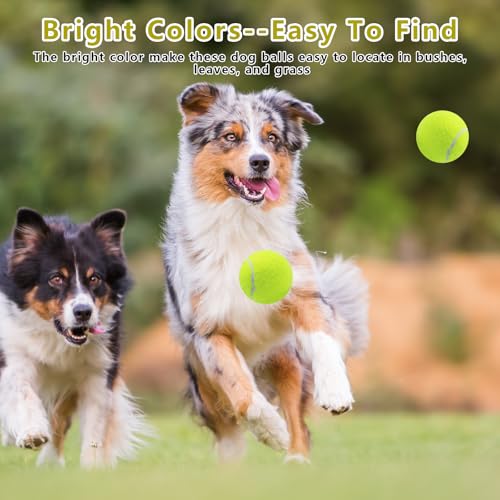 Magicorange Dog Tennis Balls, 20 Pack 2.5 inch Floatable Squeaky Tennis Balls for Fetch Exercise, Natural Rubber Squeaky D...