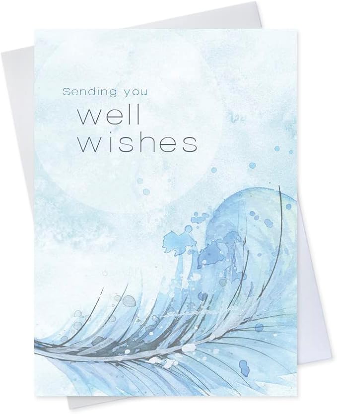 Get Well Soon Cards with Envelopes for Business & Family (Wisps of Feathers) Bulk 25 Pack of Thoughtfully Designed Recover...