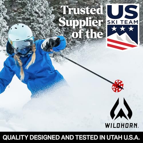 Wildhorn Roca Ski Goggles Men Women Anti-Fog/Scratch 100% UV-Magnetic Lens-Snowboard Snow Goggles Men Women Adult