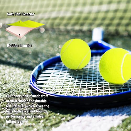 MRYCZ FYRHD 24 Pack Tennis Balls, Training Tennis Balls, Pet Dog Playing Balls, Practice Tennis Balls with Mesh Bag for Tr...