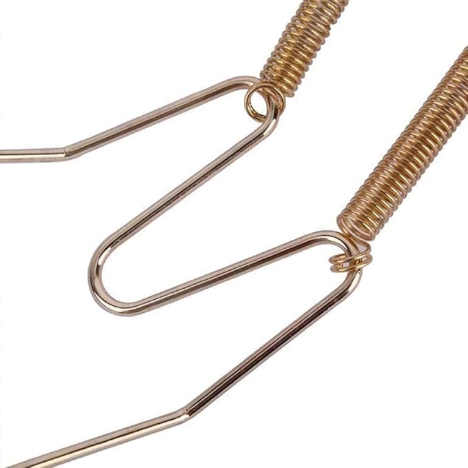 Gold Plate Dish Hanger Dismountable Wall Display Securing Clip W Type Dish Spring Holder Invisible Hook Home Decor Vertical Plate Holders (14 Inch)