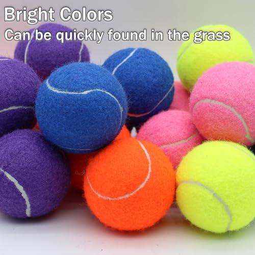 SHYUJAJIE Tennis Balls, 20 Pack Training Tennis Balls,High Elasticity Practice Tennis for Beginner, Exercise Playing Balls...