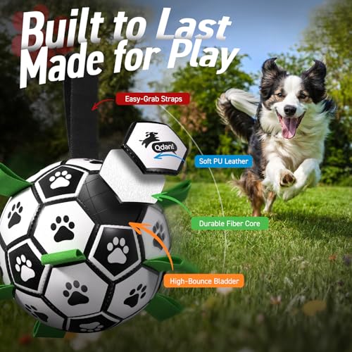 QDAN Dog Toys Dog Balls, World Cup Dog Soccer Ball with Straps, Dog Birthday, Herding Ball, Durable Balls for Small Medium...