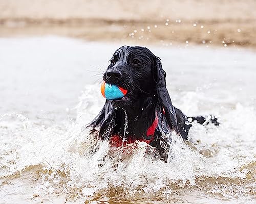 Chuckit! Amphibious Fetch Balls and Bumper Set for Dogs