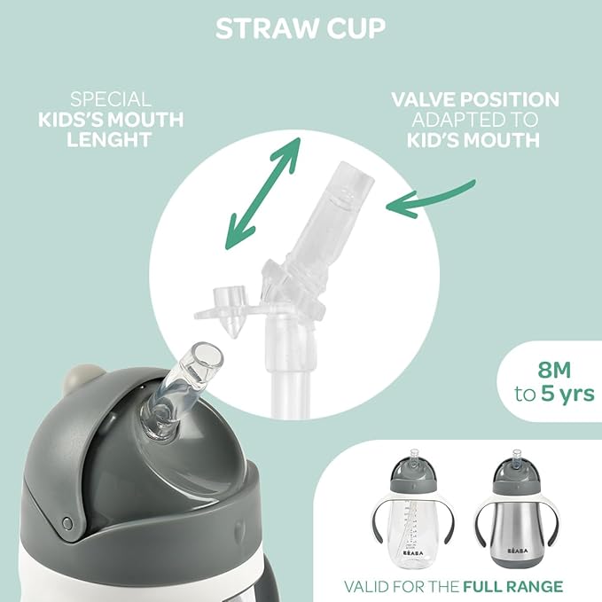 BEABA Stainless Steel Straw Sippy Cup, Insulated Toddler Cups Spill Proof with Removable Handles, Made with High Grade Stainless Steel, 8+ months, 8.5 oz, Rose
