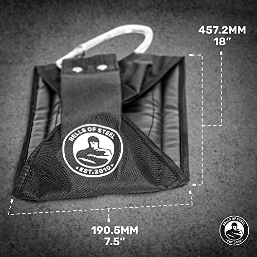 Bells of Steel Hanging Ab Straps for Pull Up Bar, Power Rack - Arm Strap for Commercial and Home Gym, Padded Ab Hanging St...