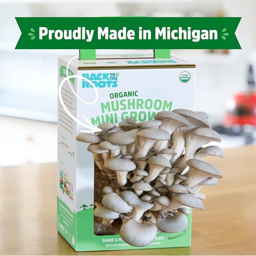 Back to the Roots Organic Mini Mushroom Grow Kit, Harvest Gourmet Oyster Mushrooms In 10 days, Top Gardening Gift, Holiday...