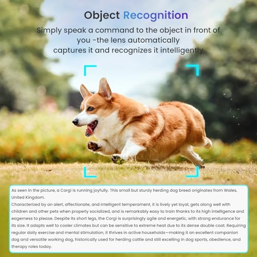 MOHEEN Al Smart Glasses with Camera 4K, Baseball Recording Glasses for Action Sports with Audio/Bluetooth, Wearable Tech B...