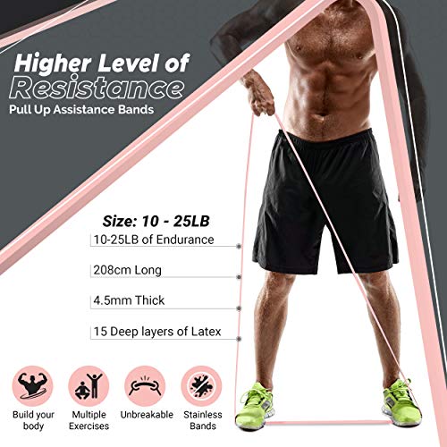Physix Gear Workout Bands for Pullups Set, Pull Up Resistance Bands Set, Long Bands for Workout and Exercise Bands Pull Up...