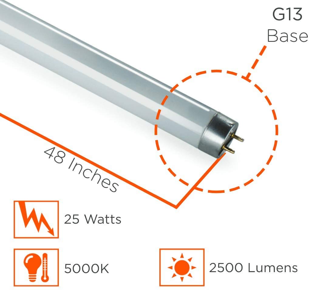 Goodbulb 25W 48 Inch T8 Fluorescent Light Bulb | 5000K Daylight Medium Bi-Pin Base | 2500 Lumens 85 Cri 36000 Life Hours | Car Dealership Lighting | 30 Pack