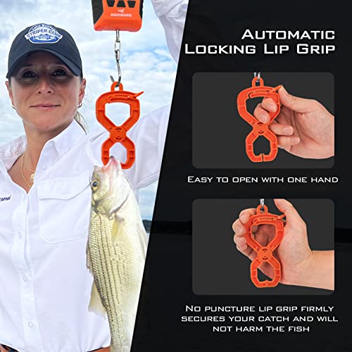 KastKing Fish Scale, WideView Floating Waterproof Digital Scale, 2.5” Large LCD Display, 110lb Capacity, Multi-Mode Pound/...