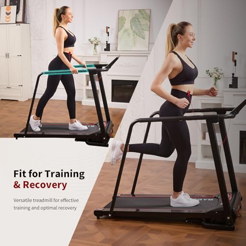 BSJ BESTGYM Walking Treadmill for Seniors with Extended Handrails & Deck,Emergency Stop Button,Treadmill for Home 300 lbs ...