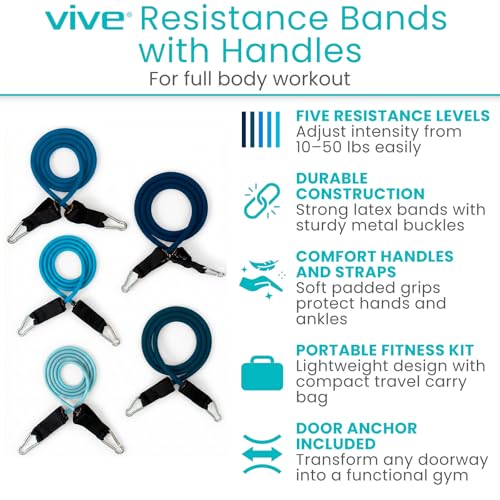 Vive Resistance Band Set (11 PCS) (With App) - Versatile Exercise Tubes with Wide Handles, Workout Poster, & Door Anchor -...