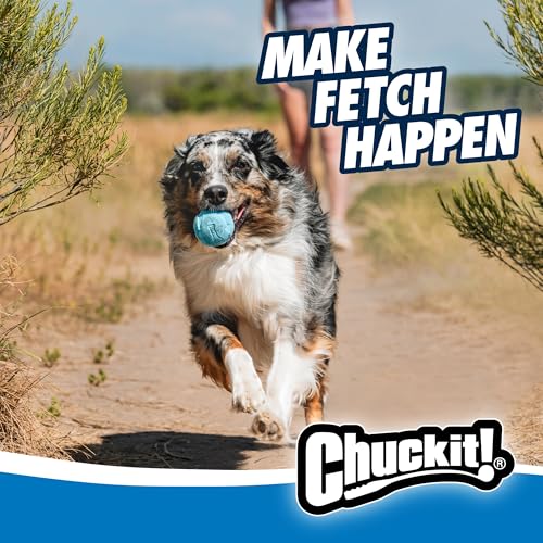 Chuckit! Rebounce Ball Dog Toy - Bouncy Fetch Balls for Dogs 20-60 lbs - Made from Durable Rubber - Outdoor Pet Toys - Siz...