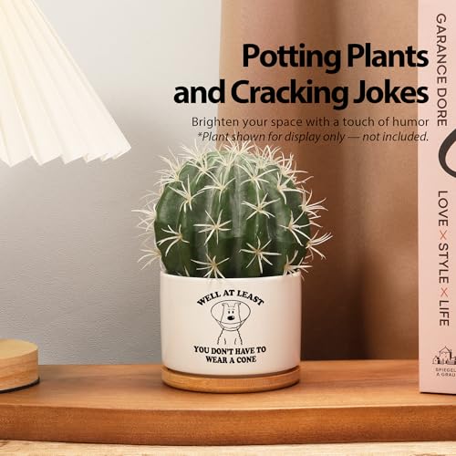 Loovelo Well at Least You Don’t Have to Wear A Cone Recovery Gifts Ceramic Succulent Plant Pot with Bamboo Tray Round Get ...