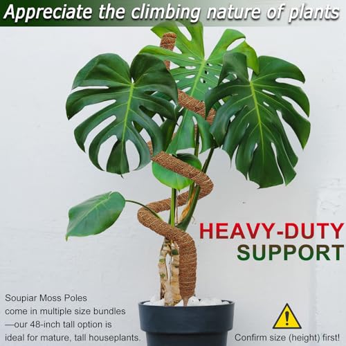 Soupiar 2 Pack 48'' Bendable Moss Pole for Monstera & Pothos - Tall Handmade Coco Coir Plant Support Stakes for Large Clim...