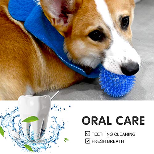 SHARLOVY Squeaky Balls for Pet Small Puppy, 6 Pack TPR Fetch Spike Balls for Dogs, Rubber 6 Pack Bright Colors Chew Teethi...
