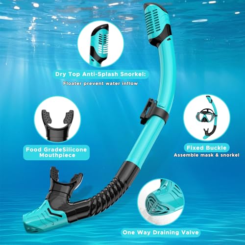 2 Pack Snorkeling Gear for Adults, Dry Snorkel, Mask Set Adult, Diving Scuba Mask, Scuba Gear, Swimming Goggles with Nose ...