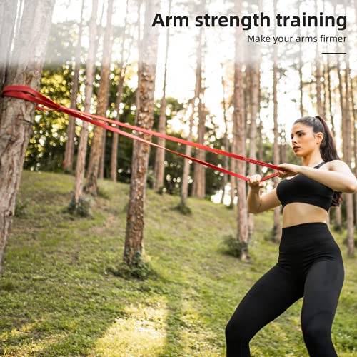 Pull Up Resistance Bands Set of 4 for Men and Women, Assistance Band for Exercise for Resistance Training Powerlifting, Gy...