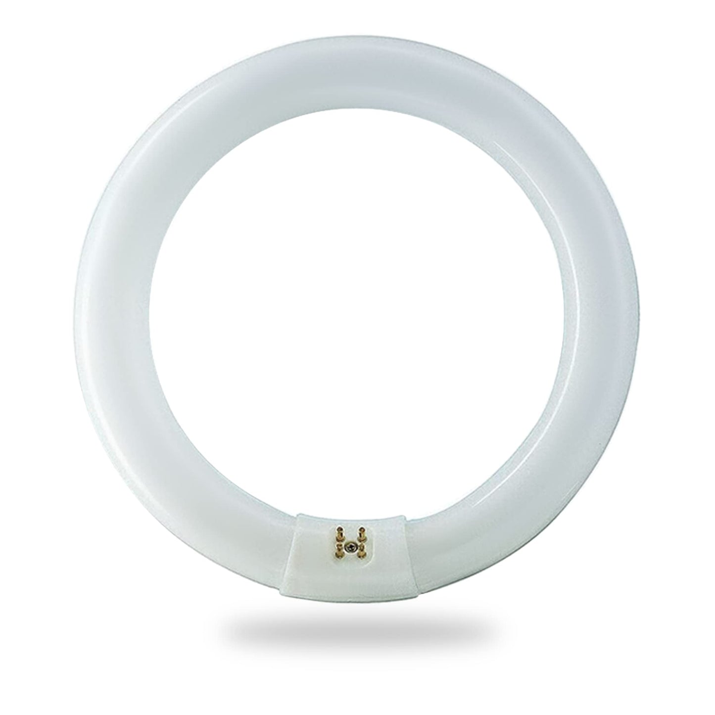 BULBMASTER FC12T9 32W 12 Inch Round T9 Fluorescent Circular Light Bulb, Daylight 6500K, G10Q 4-Pin Base,