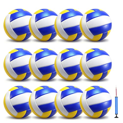jiaonun 12 Pack Regulation Size 5 Volleyballs for Women and Men, Outdoor or Indoor, with Pump