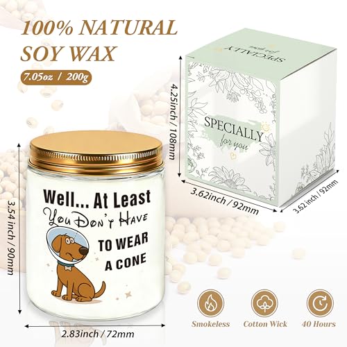 Get Well Gifts for Women, Get Well Soon Sympathy Gift for Her, Surgery Recovery Feel Better Present for Men, You Dont Have...