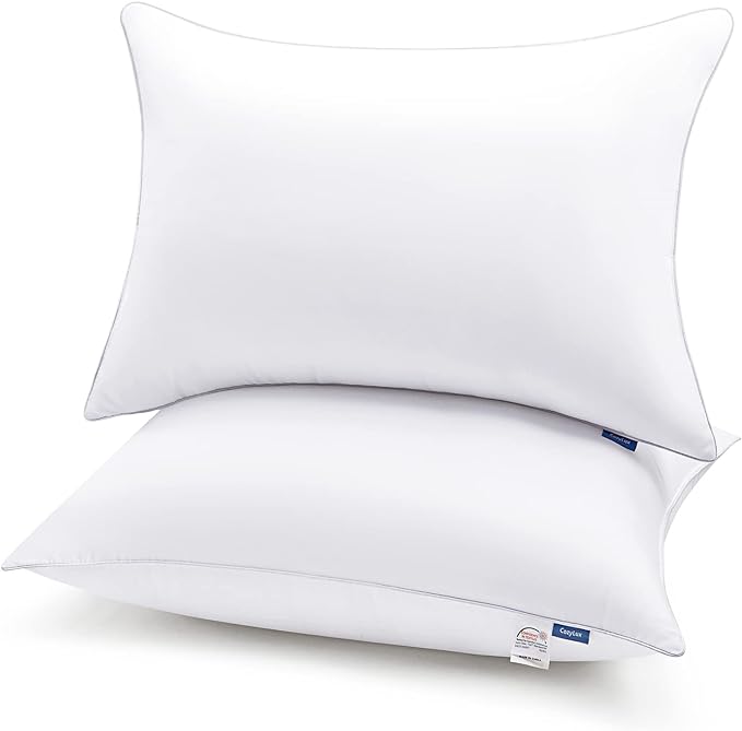 CozyLux Pillows Queen Size Set of 2, Queen Pillows for Sleeping 2 Pack Hotel Quality, Bed Pillows for Side Back and Stomach Sleepers, Down Alternative Luxury Soft Supportive Fluffy Pillows (20x30)