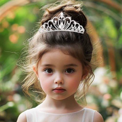 CAKURE Small Tiara Crown with Comb Silver Rhinestone Princess Tiaras Sparkly Hair Accessories for Women and Girls (a-silve...