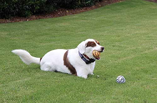 Unique Sports Dog Fetch Squeaker Balls Animal Prints 18 Pack