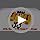 Tie-Down Cam Straps, JCHL Ratchet Tie Down Strap 1" x20' Lashing Strap Cargo Tie Down Strap Polyester Webbing Coated S-Hoo...