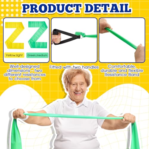 Relaxgiant 2 Pcs Resistance Band with Handles Chair Exercise Equipment for Seniors Physical Therapy Band Gifts for Elderly...