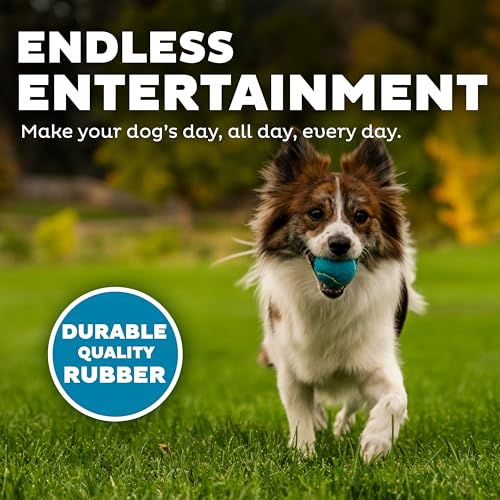 Outward Hound Squeaker Ballz – Squeaky Tennis Balls for Dogs Under 25 lbs, Interactive Dog Toy for Fetch & Training, Small...