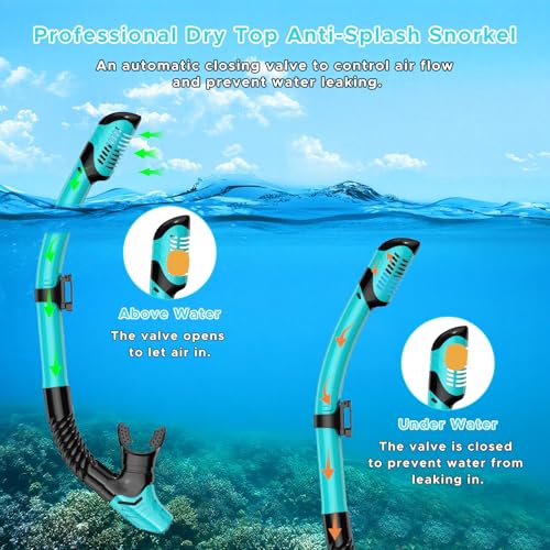 2 Pack Snorkeling Gear for Adults, Dry Snorkel, Mask Set Adult, Diving Scuba Mask, Scuba Gear, Swimming Goggles with Nose ...