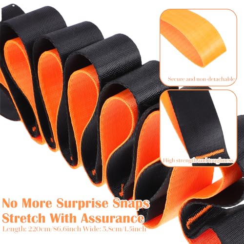 Stretch Straps with 12 Loops, Non Elastic Yoga Straps with Door Buckle for Leg Stretching, Yoga Stretching Band for Physic...
