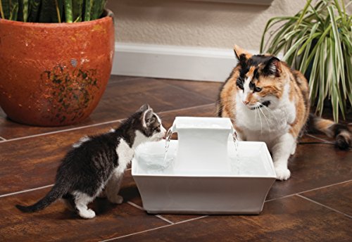 PetSafe Drinkwell Pagoda Fountain - Hygienic Ceramic Continuous Flowing Fountain - Elevated Upper Bowl & Double Free-Falli...