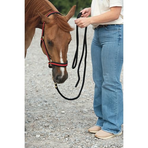 Weaver Equine Performance Lead Rope, Long Horse Lead Rope with Quick Halter Attachment, Soft Comfort Grip, Barn Horse Tack...