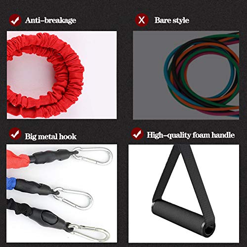 Sunsign Resistance Band with Handle, Exercise Bands with Handles, Ideal for Strength Training, Muscle Toning, Physical The...