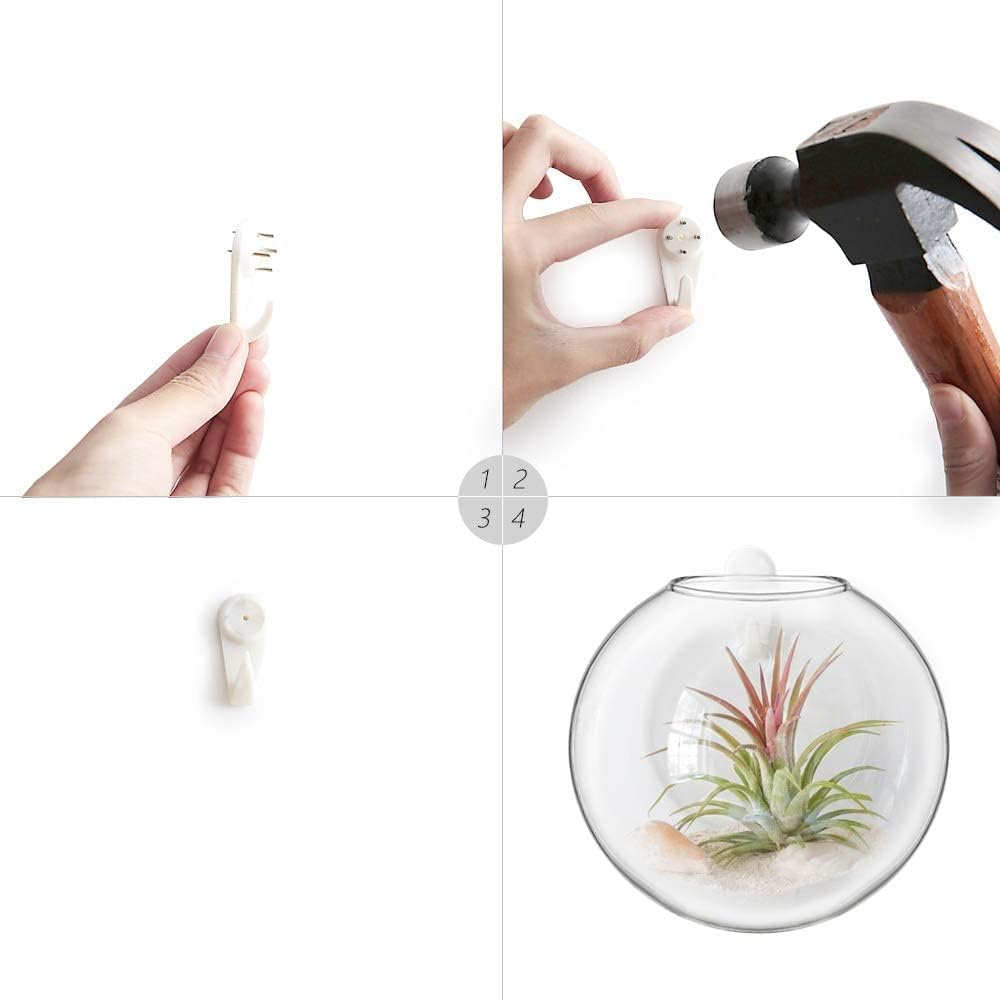 Mkono Propagation Wall Hanging Planter Glass Terrarium Flower Vases Holder for Indoor Plants, Home Living Room Office Decor Plant Lover Gifts, Set of 4