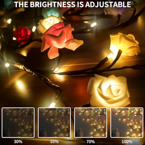 FNHMSL Macaroon Rose Blossom Enchanted Willow Vine Lights, 7.55FT 144LED 6 Color Blossom Tree Branch Lights for Wall, Remo...