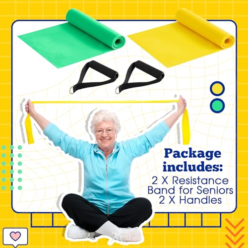 Relaxgiant 2 Pcs Resistance Band with Handles Chair Exercise Equipment for Seniors Physical Therapy Band Gifts for Elderly...