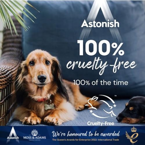Astonish Specialist Extra Strength Grease Lifter With Baking Soda - No Scrub De-Greaser Formula For Kitchen Surfaces, Trays & Pans - Vegan Cruelty Free Household Cleaning Supplies, 750ml Bottle, 2PK