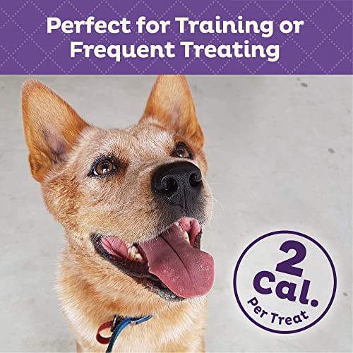 Old Mother Hubbard Wellness Training Bitz Assorted Mix Dog Biscuits, Natural, Training Treats, Three Flavors, Small Size,...