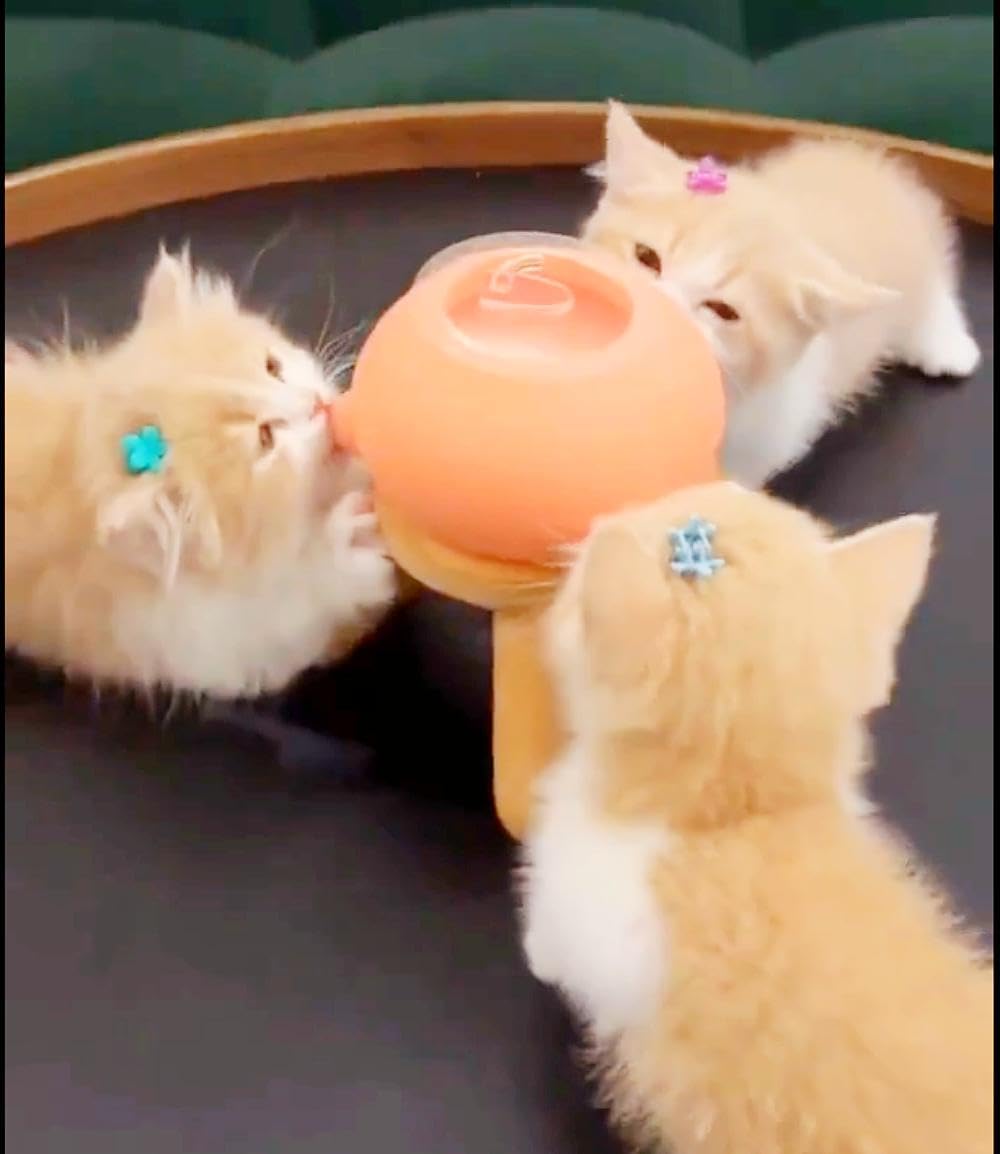 2023 New Milk Feeder for Kittens and Puppies, Puppy Feeders for Multiple Puppies, Food Grade Silicone Kitten Puppy Milk Nipple Feeder Pet Kitty Pacifier Bowl Feeder with 3/4 Nipples (3 Nipples 200ML)